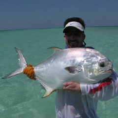 Large Key West permit