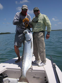Tarpon landed
